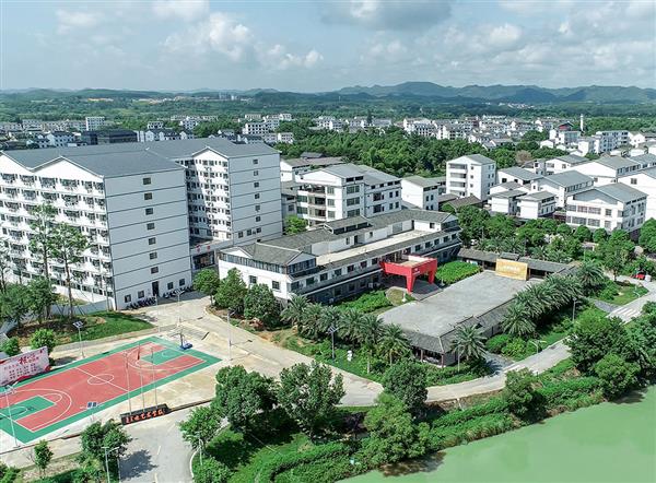 莫兰迪艺术学校简介(图4)