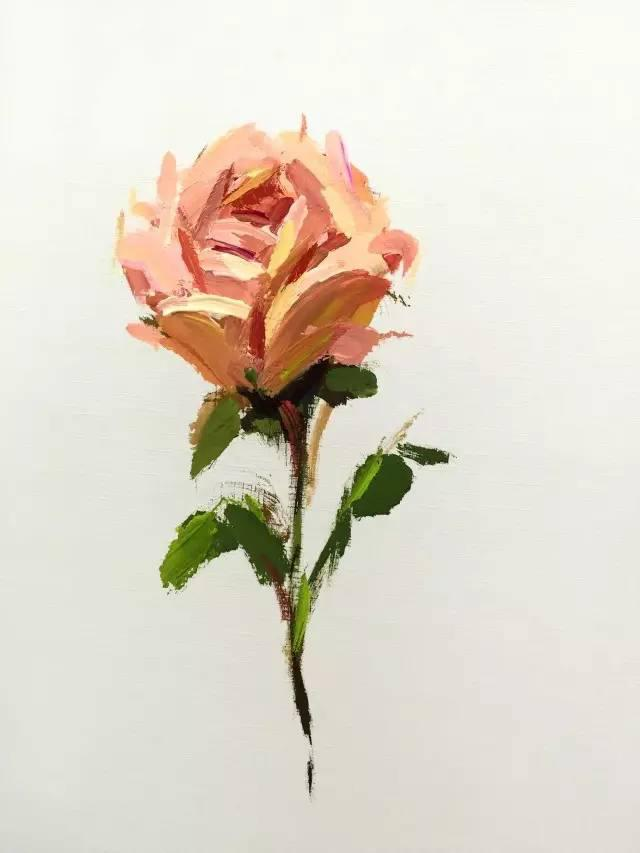 美术生色彩,美术高考培训,北京画室
